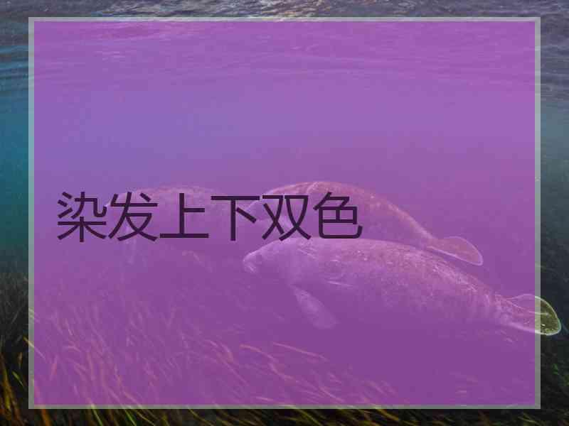 染发上下双色