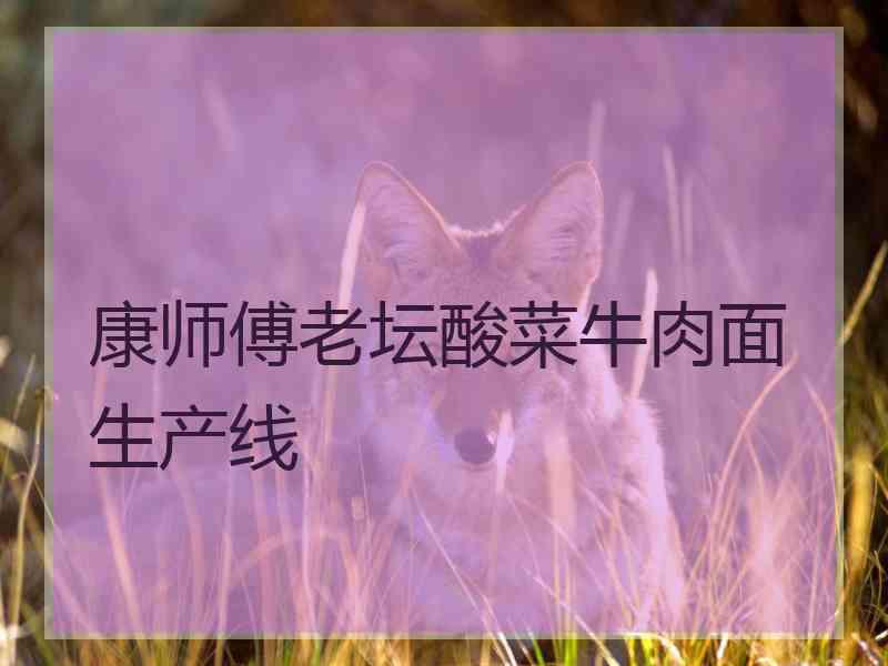 康师傅老坛酸菜牛肉面生产线