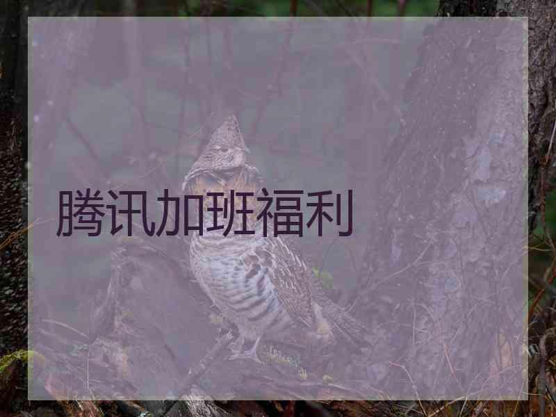 腾讯加班福利