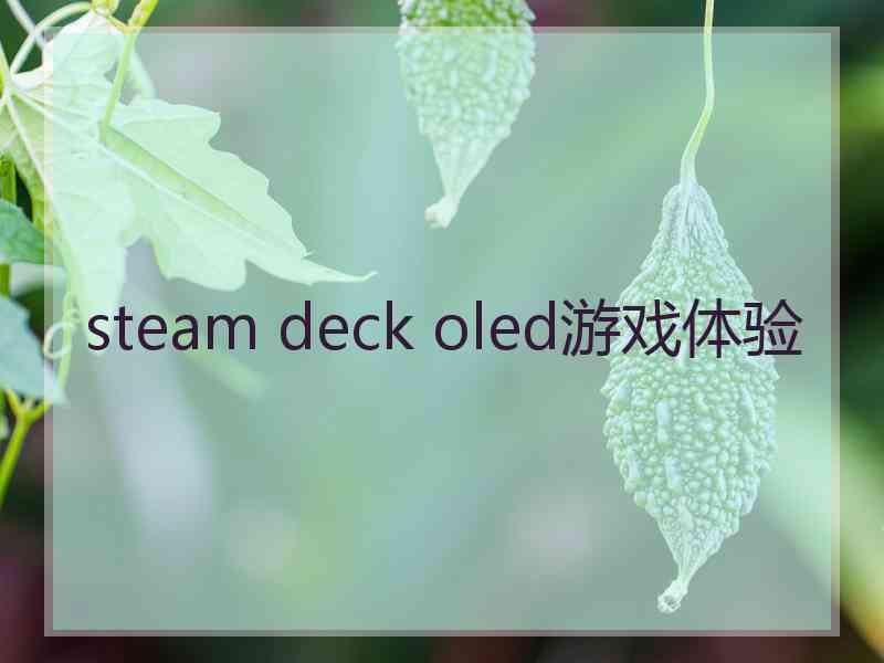 steam deck oled游戏体验