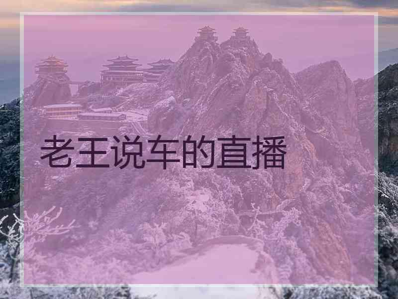 老王说车的直播