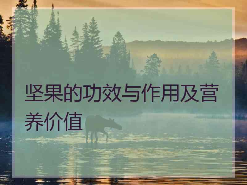 坚果的功效与作用及营养价值