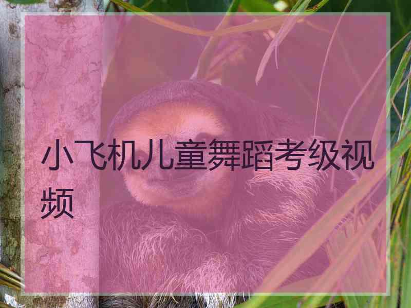 小飞机儿童舞蹈考级视频