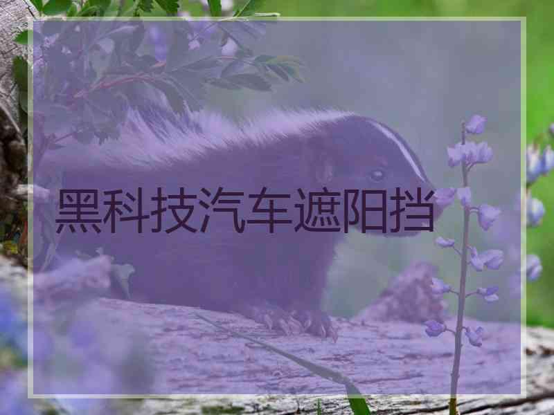 黑科技汽车遮阳挡