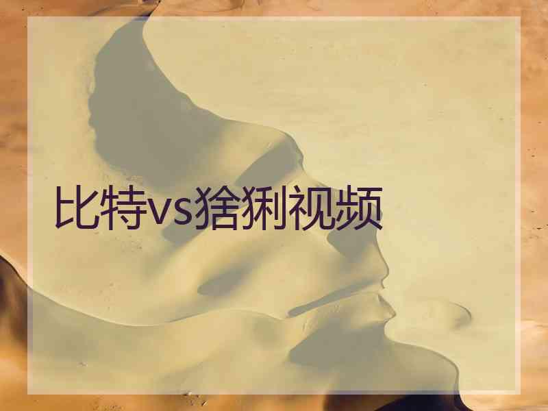 比特vs猞猁视频