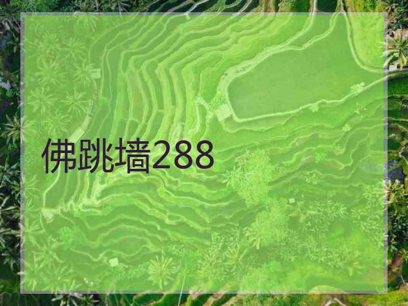 佛跳墙288