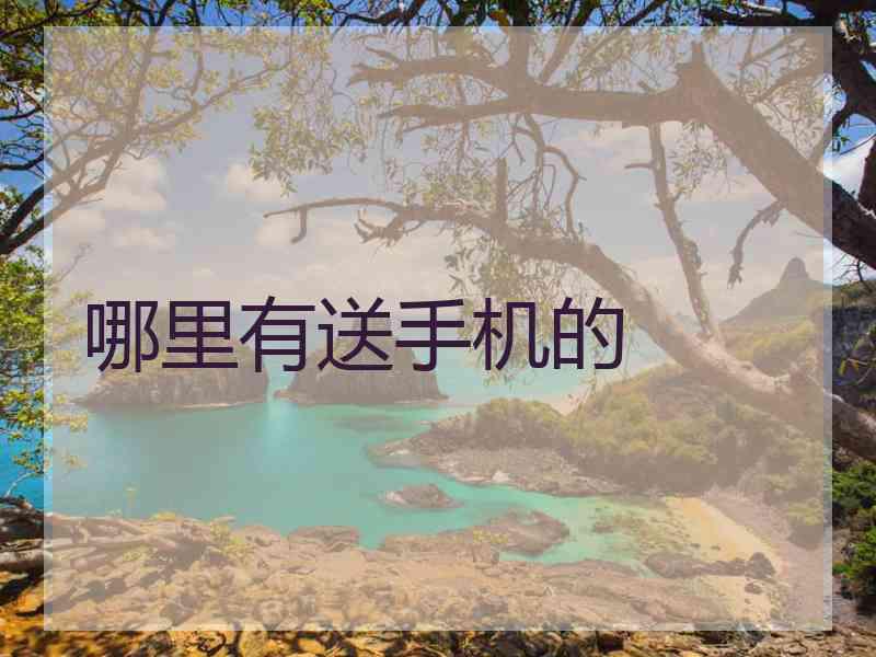 哪里有送手机的