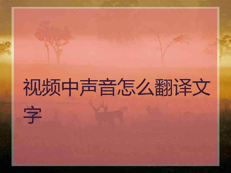 视频中声音怎么翻译文字