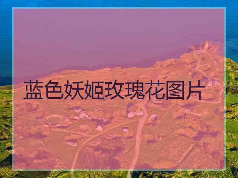蓝色妖姬玫瑰花图片
