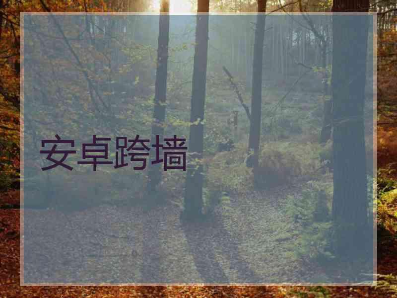 安卓跨墙