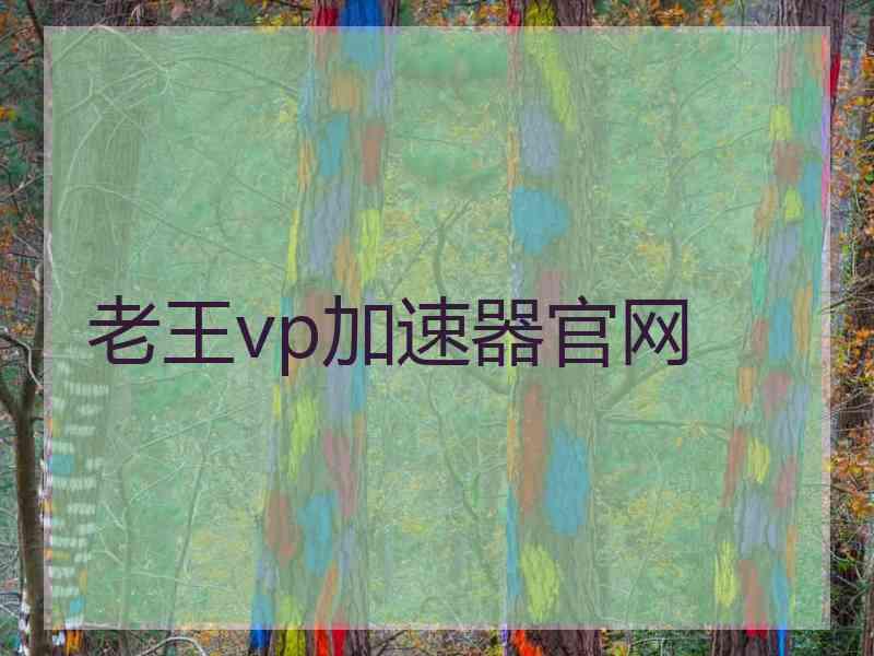 老王vp加速器官网