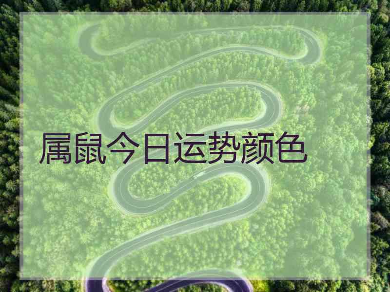 属鼠今日运势颜色