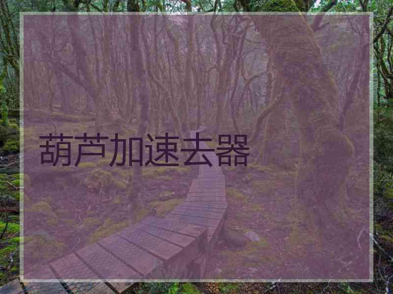 葫芦加速去器