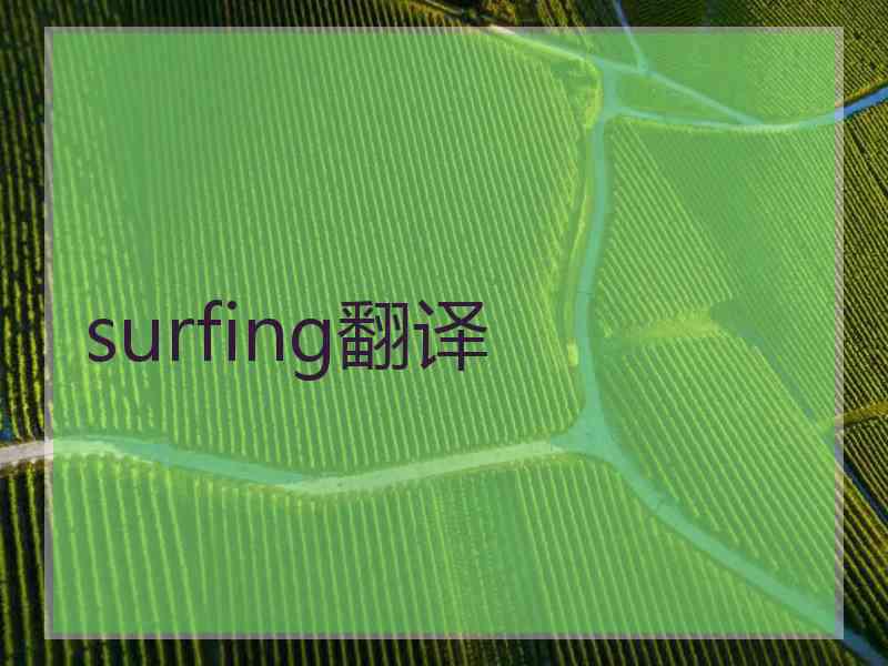 surfing翻译