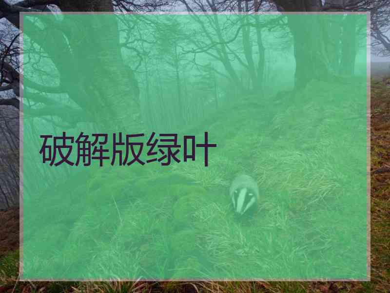 破解版绿叶