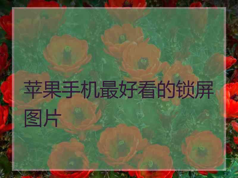 苹果手机最好看的锁屏图片