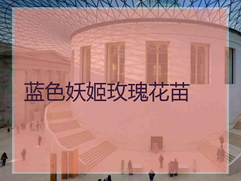 蓝色妖姬玫瑰花苗