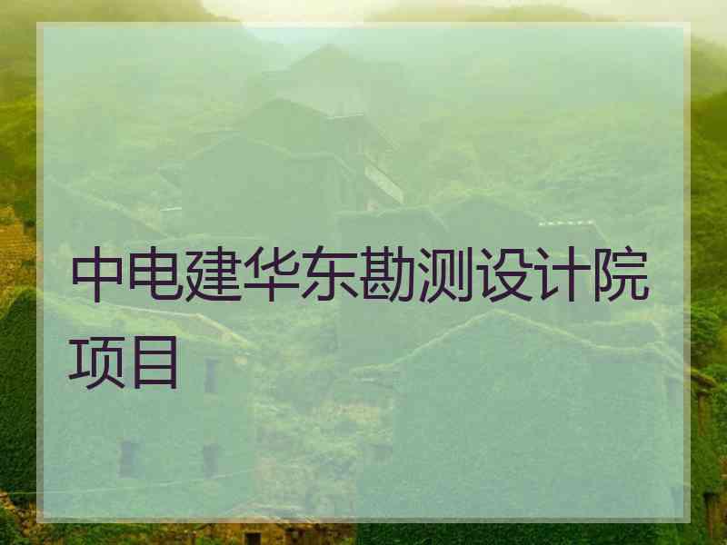 中电建华东勘测设计院项目