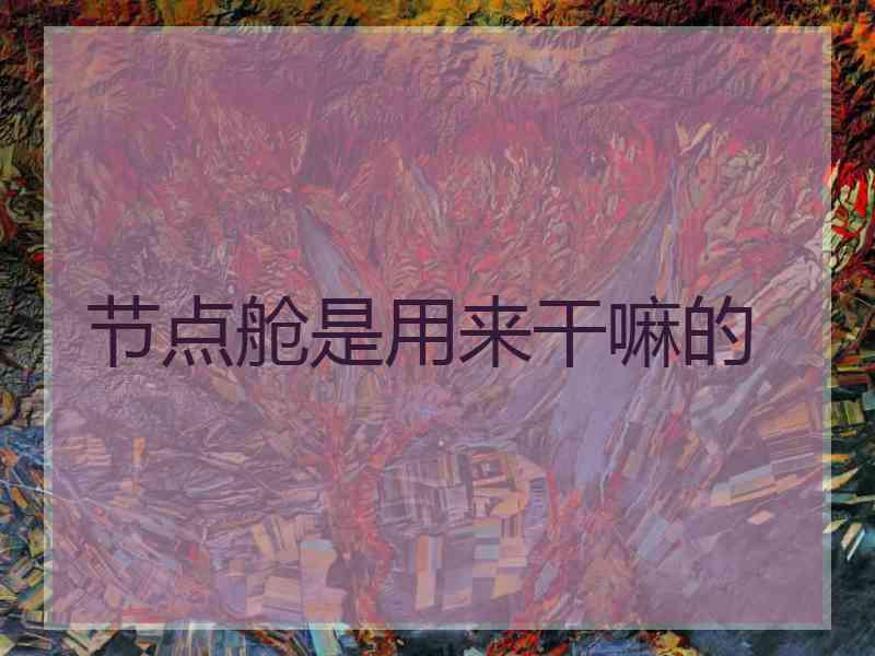 节点舱是用来干嘛的
