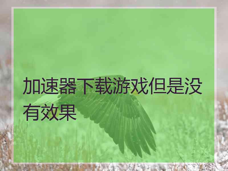 加速器下载游戏但是没有效果