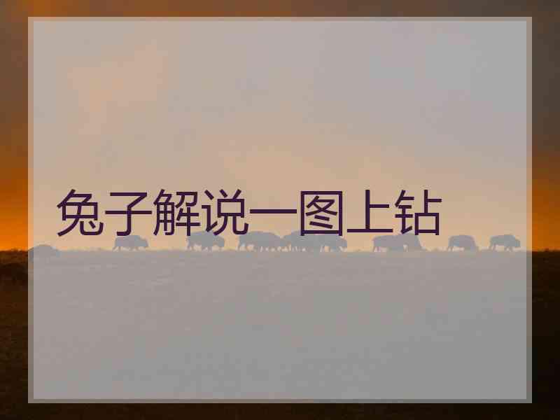 兔子解说一图上钻