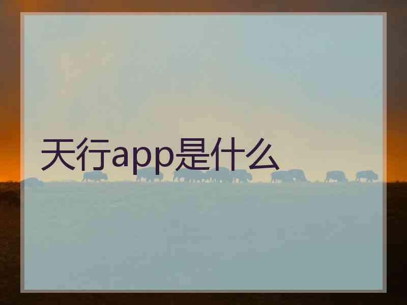 天行app是什么