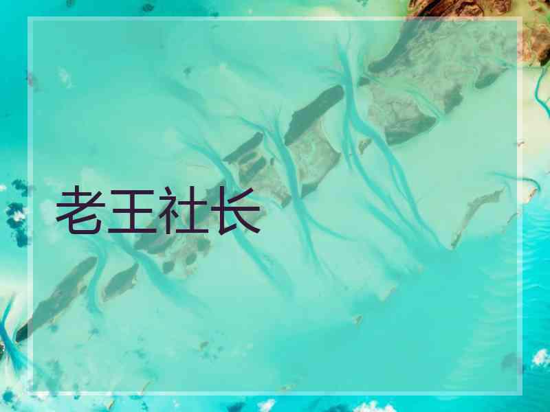 老王社长
