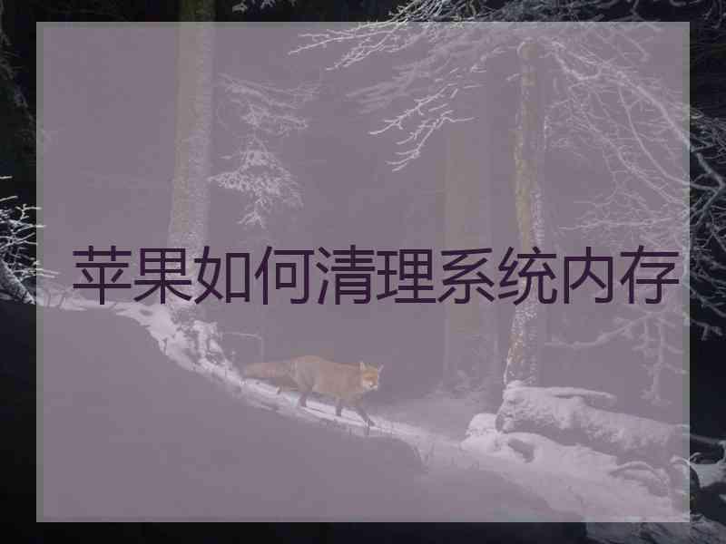 苹果如何清理系统内存