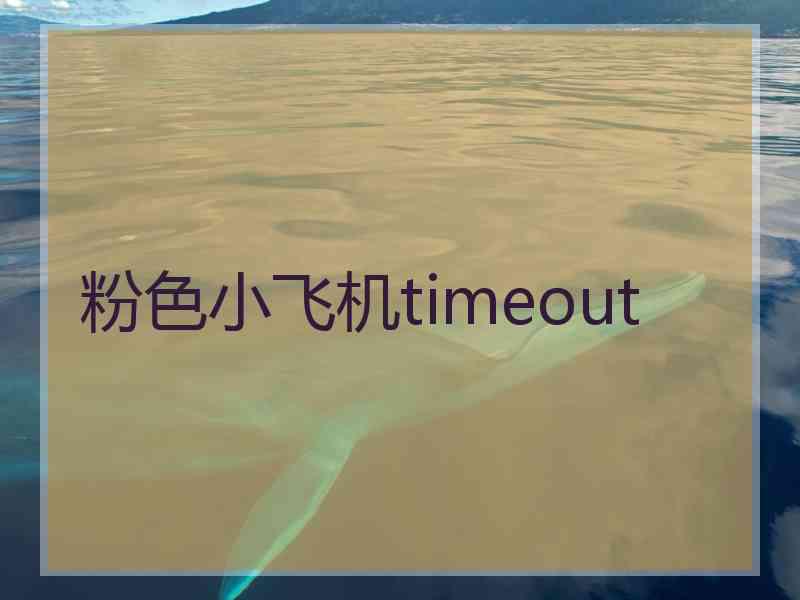 粉色小飞机timeout