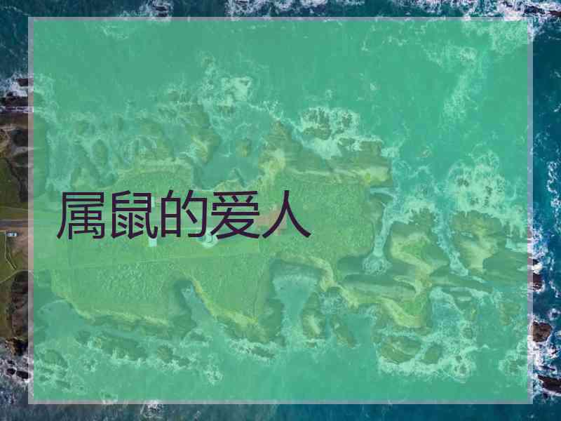 属鼠的爱人