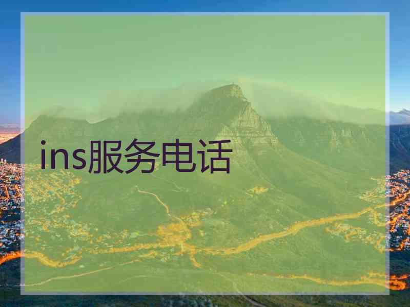 ins服务电话