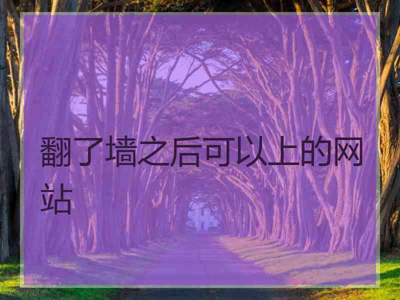 翻了墙之后可以上的网站