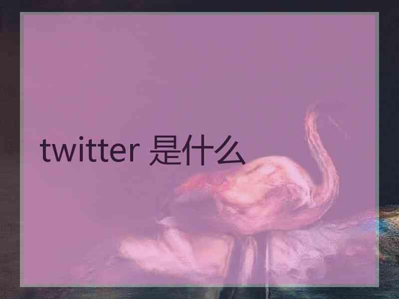 twitter 是什么
