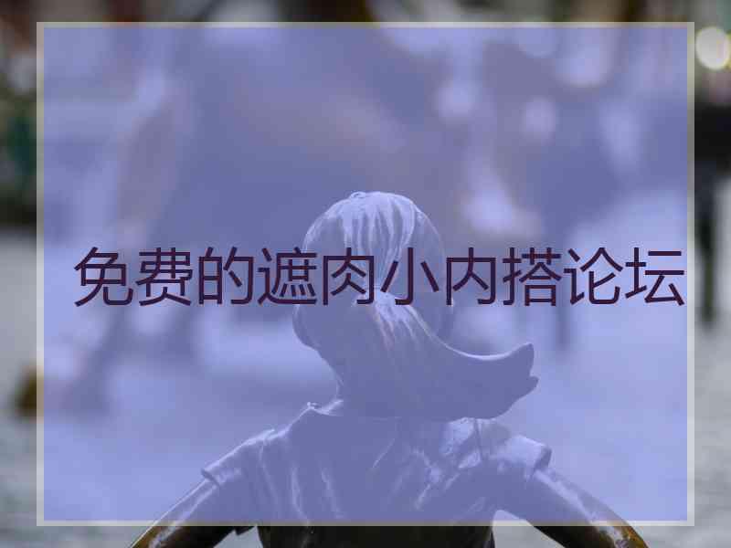 免费的遮肉小内搭论坛