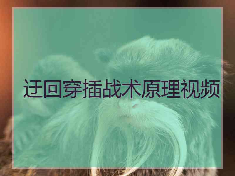 迂回穿插战术原理视频