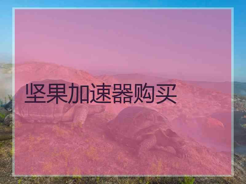 坚果加速器购买