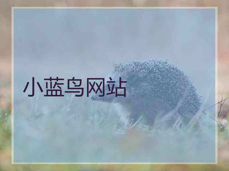 小蓝鸟网站