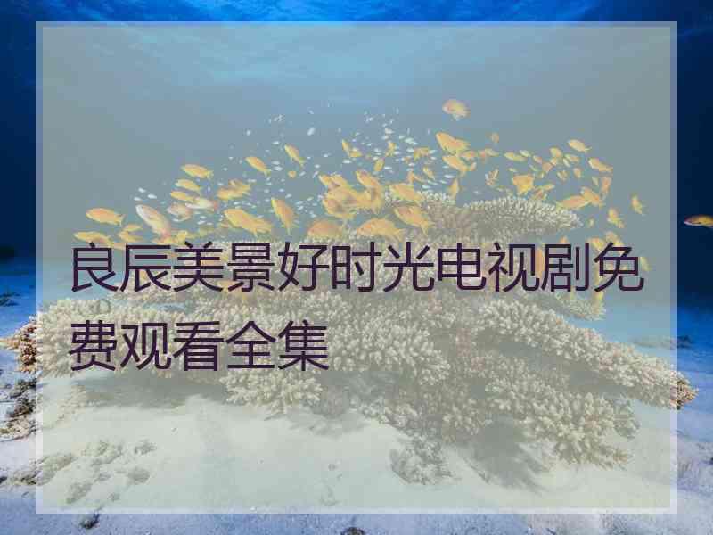 良辰美景好时光电视剧免费观看全集