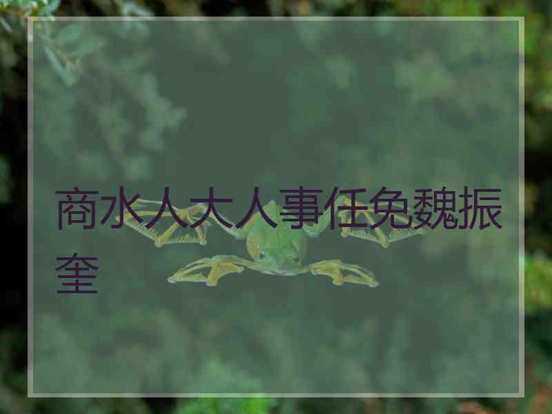 商水人大人事任免魏振奎
