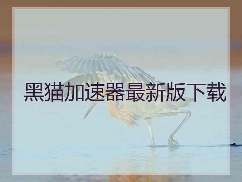 黑猫加速器最新版下载