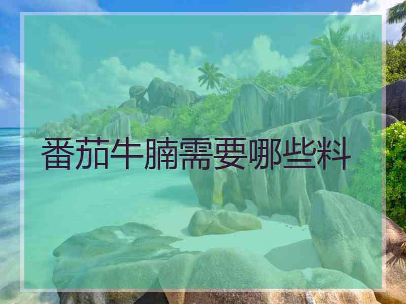 番茄牛腩需要哪些料