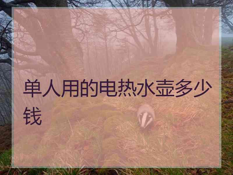 单人用的电热水壶多少钱