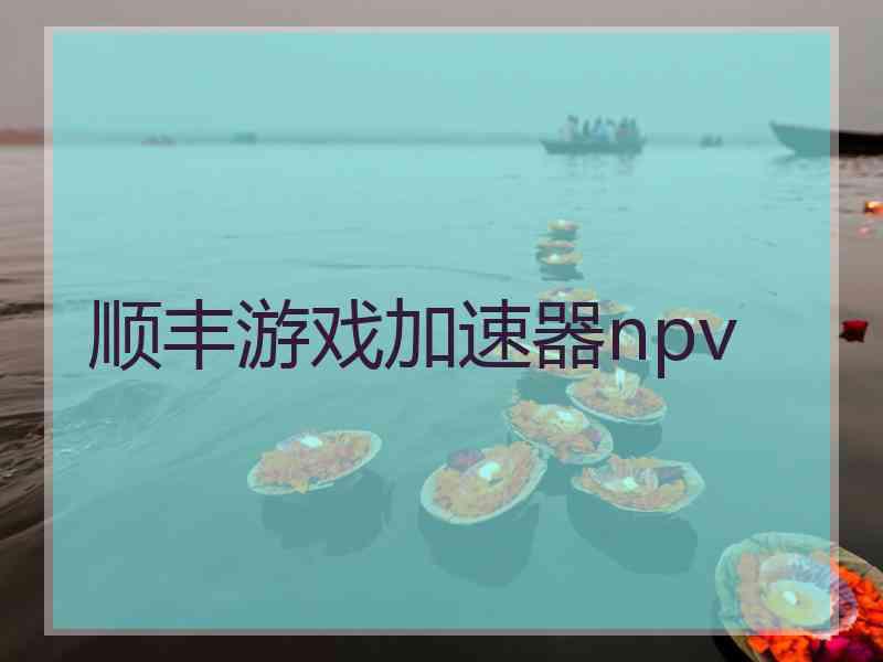顺丰游戏加速器npv