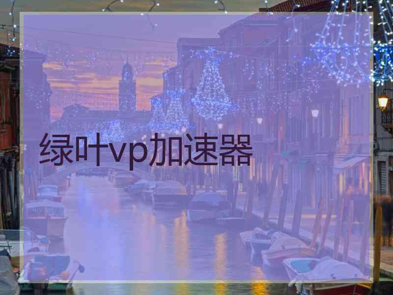 绿叶vp加速器