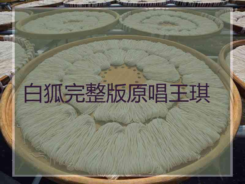 白狐完整版原唱王琪