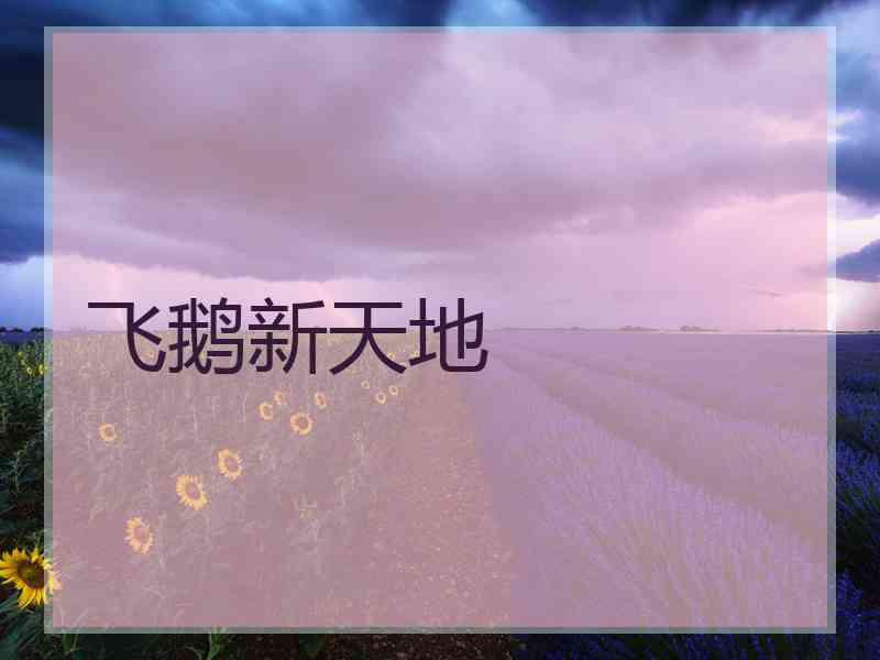 飞鹅新天地