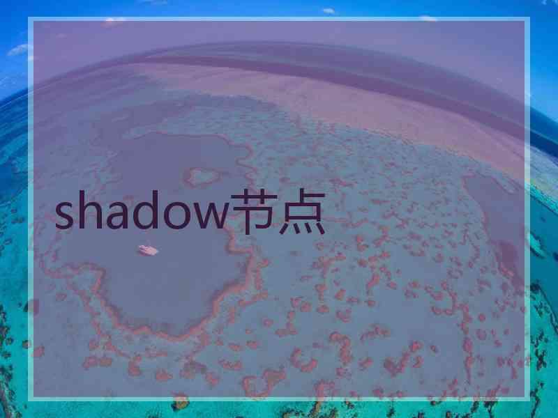 shadow节点