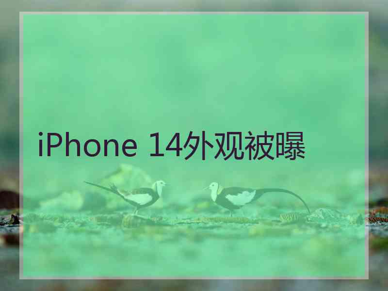 iPhone 14外观被曝