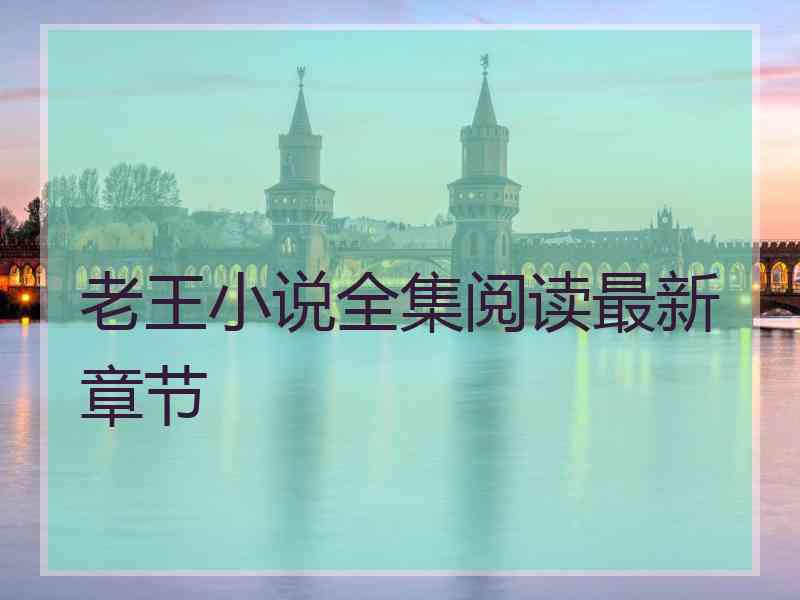 老王小说全集阅读最新章节