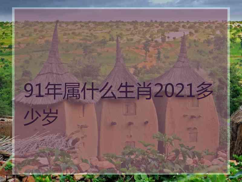 91年属什么生肖2021多少岁